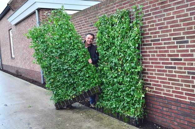 portable artificial plant screen panels