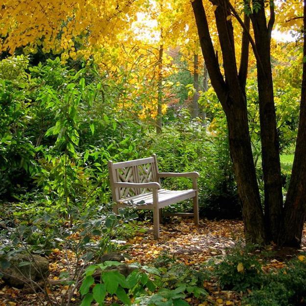 tranquil spots yard landscaping ideas