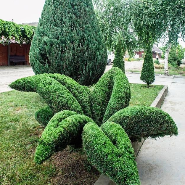 diy topiaries yard decorations