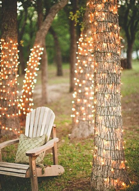 outdoor lights tree decorating