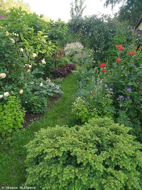 lush greenery garden design ideas