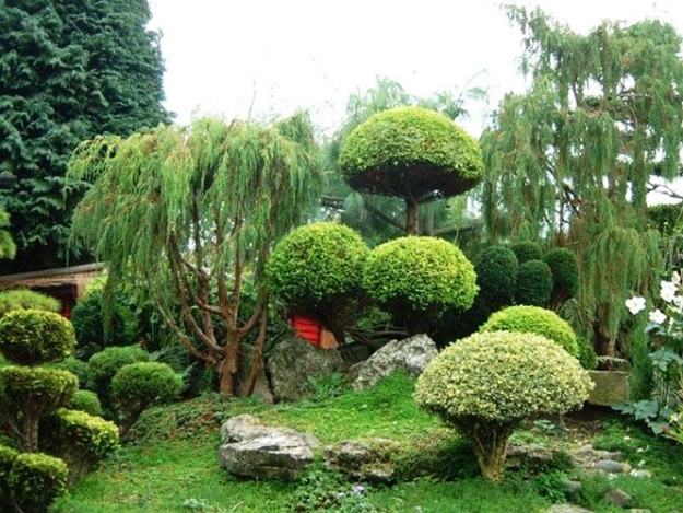 lush greenery garden design ideas