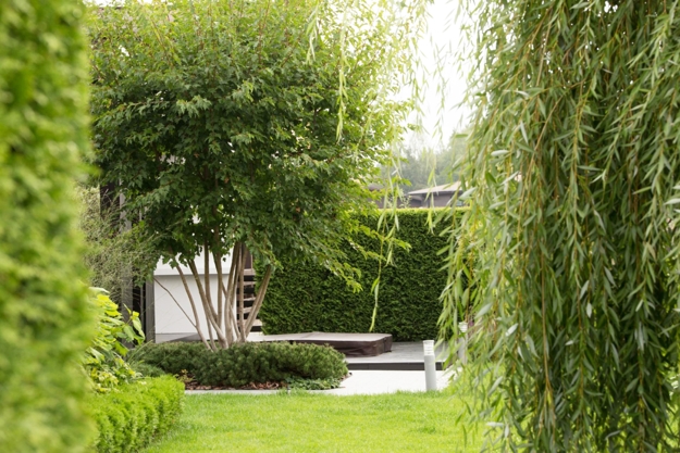 lush greenery garden design ideas