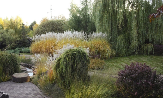lush greenery garden design ideas