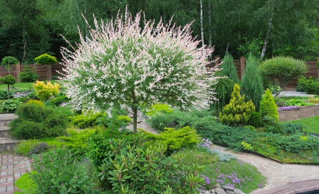 lush greenery garden design ideas