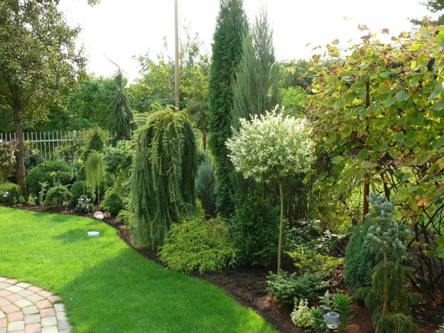 lush greenery garden design ideas