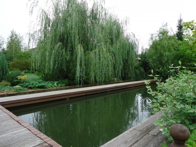 lush greenery garden design ideas