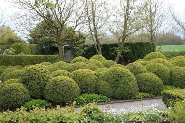 lush greenery garden design ideas