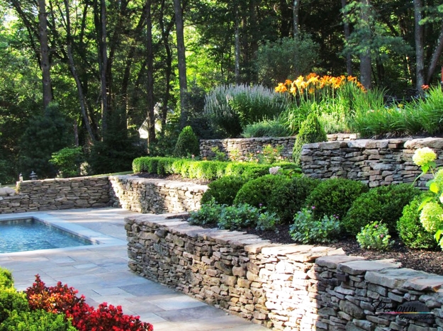 lush greenery garden design ideas