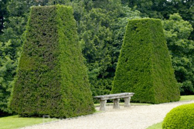 lush greenery garden design ideas
