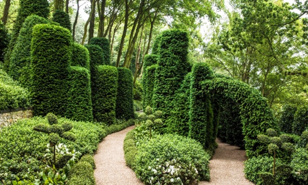 lush greenery garden design ideas