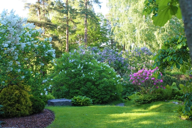 lush greenery garden design ideas
