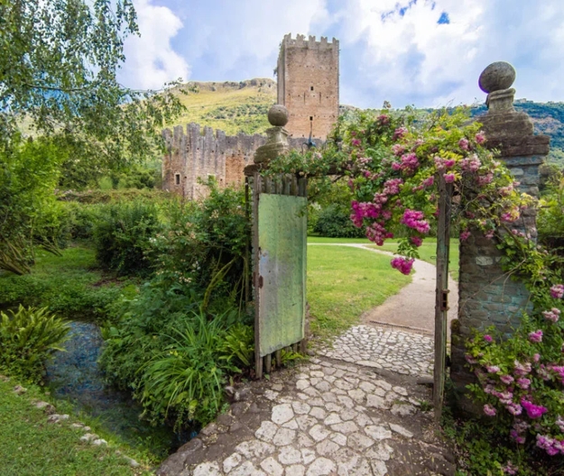 lush greenery garden design ideas