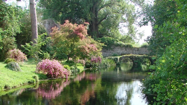 lush greenery garden design ideas