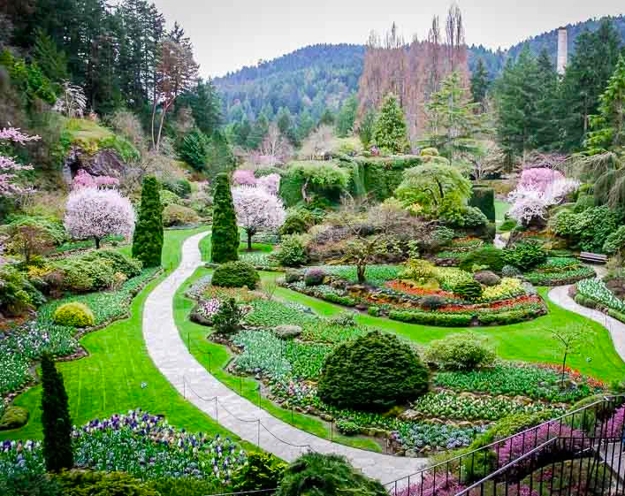 lush greenery garden design ideas