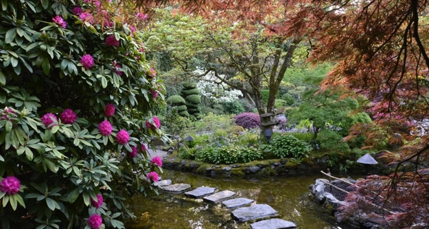lush greenery garden design ideas