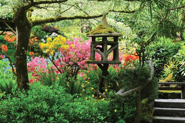lush greenery garden design ideas
