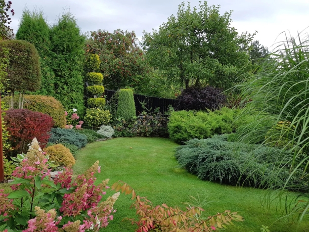 lush greenery garden design ideas
