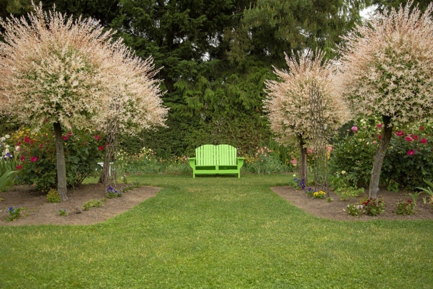 lush greenery garden design ideas