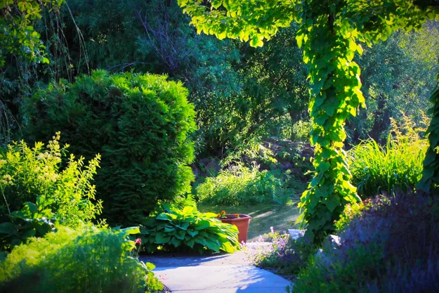 lush greenery garden design ideas