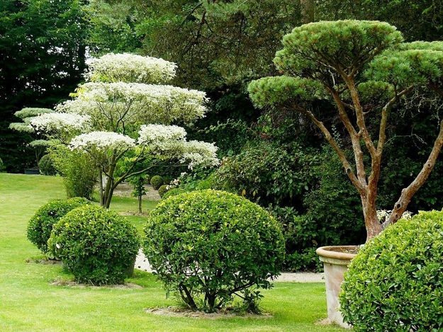 mature plants landscaping ideas