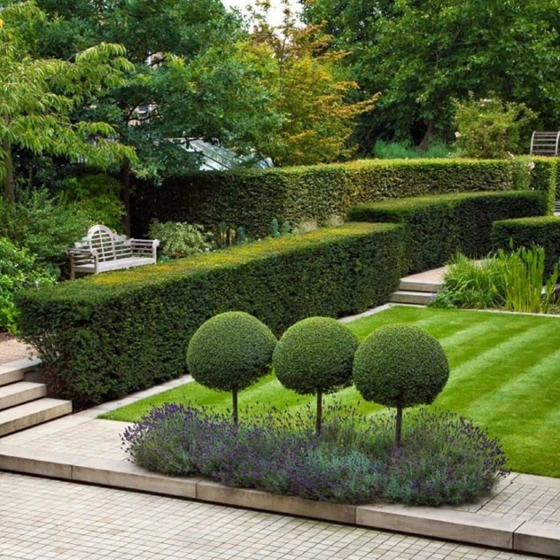 manicured garden