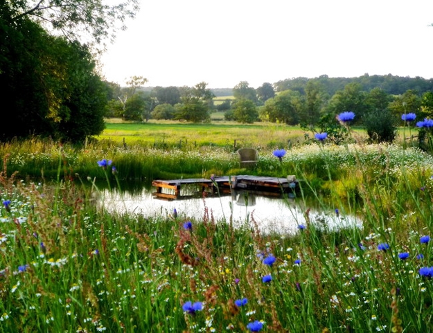 natural garden