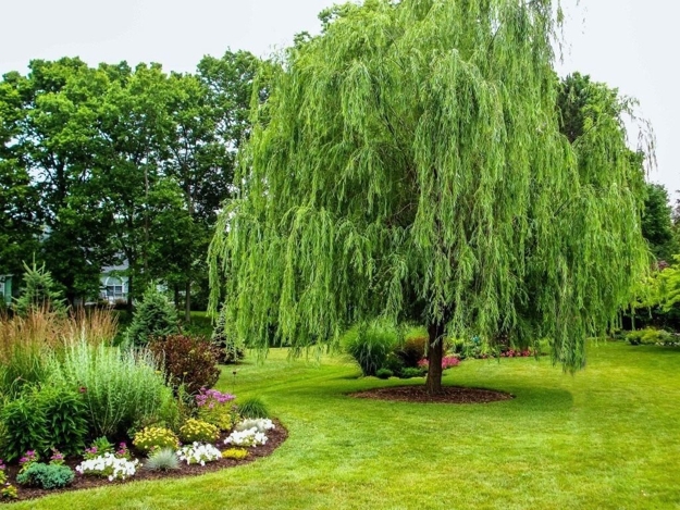 lush greenery garden design ideas