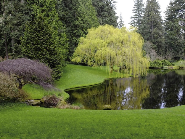 lush greenery garden design ideas