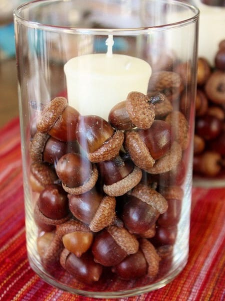 acorns crafts diy home decorations