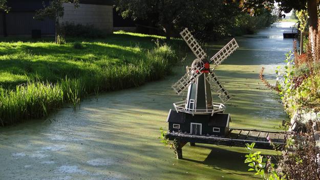 beautiful decorative windmill