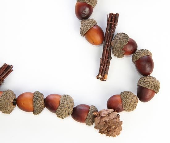 acorns crafts diy home decorations