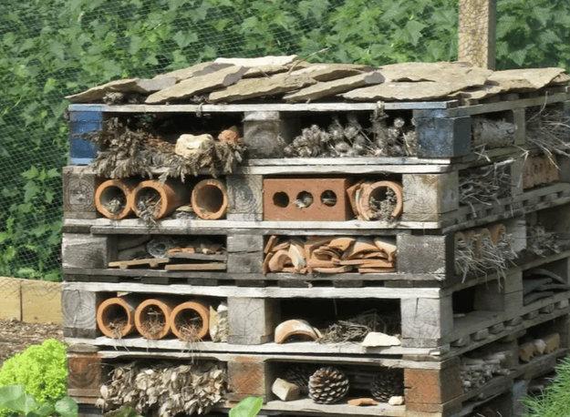 handmade shelters houses for wildlife