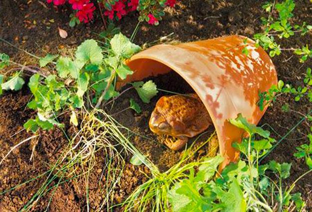handmade shelters houses for wildlife