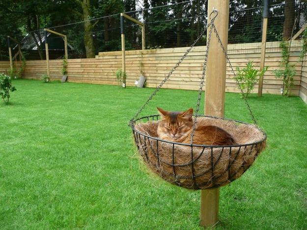 cat furniture design ideas