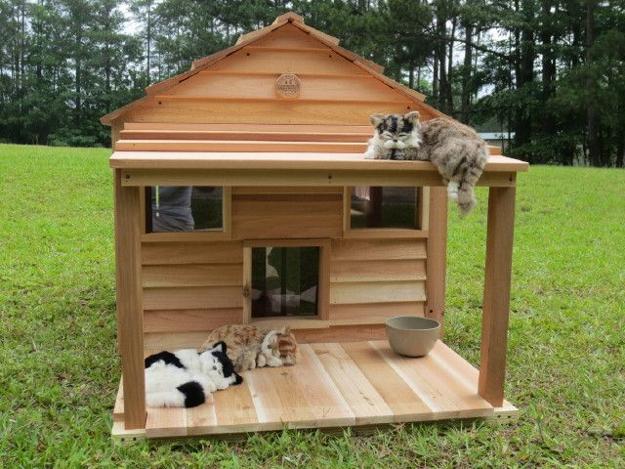 cat furniture design ideas