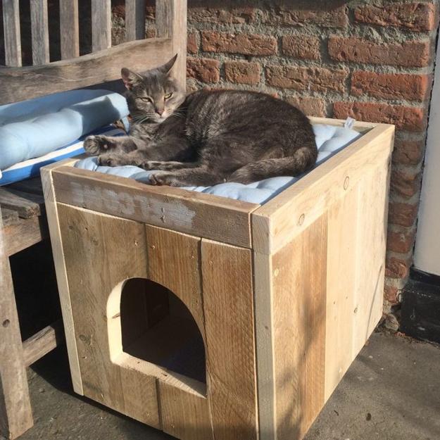 cat furniture design ideas