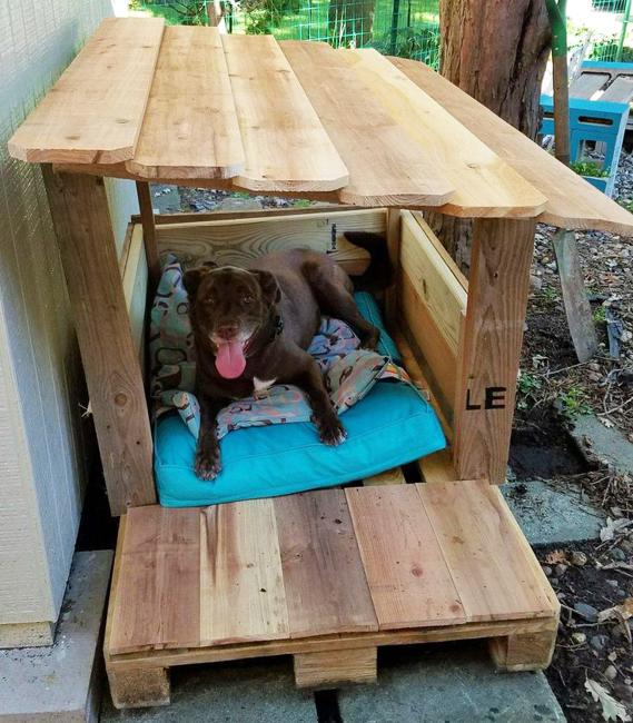 handmade dog house designs shades