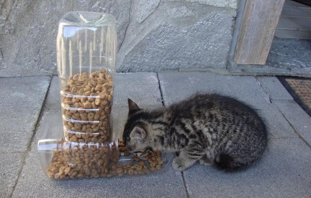 handmade animal feeder