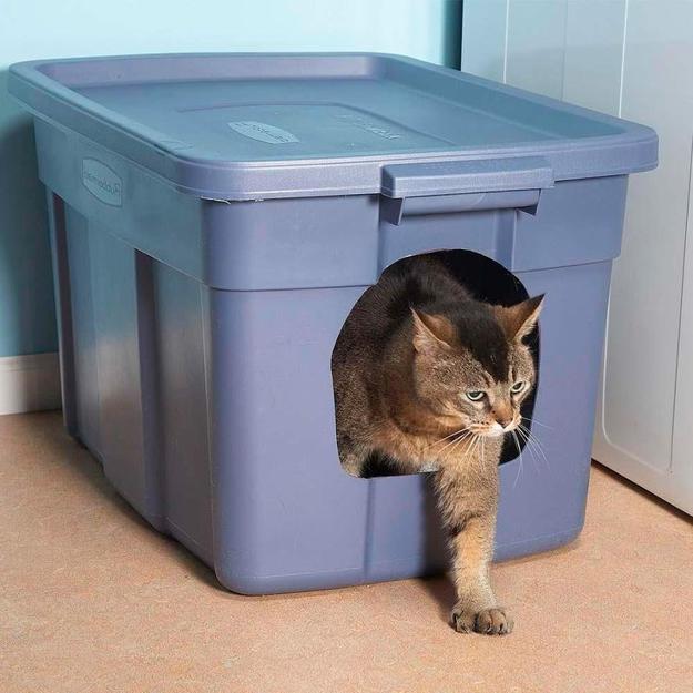 reuse recycle plastic pets shelters toys