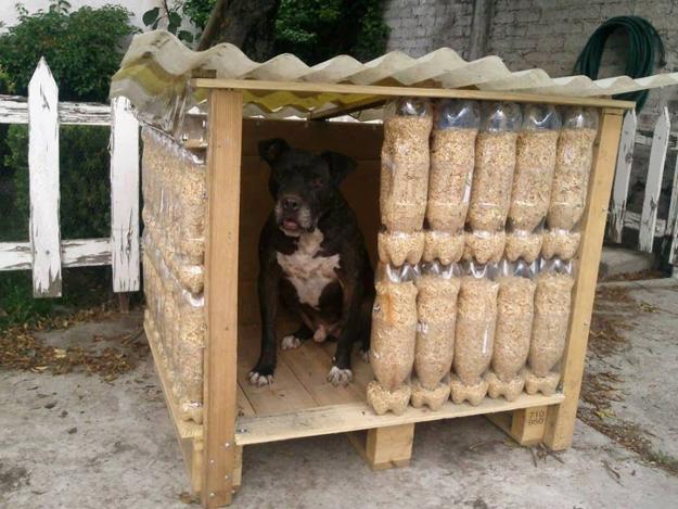 reuse recycle plastic pets shelters toys