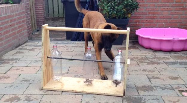 reuse recycle plastic pets shelters toys