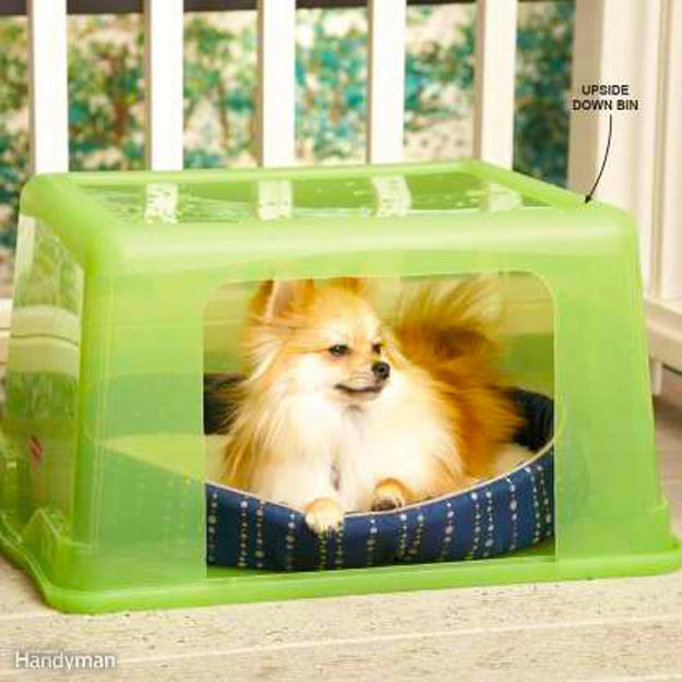 reuse recycle plastic pets shelters toys
