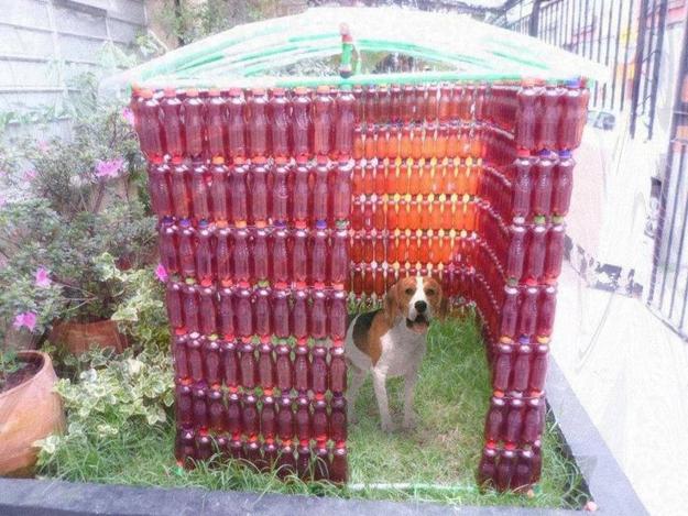 reuse recycle plastic pets shelters toys
