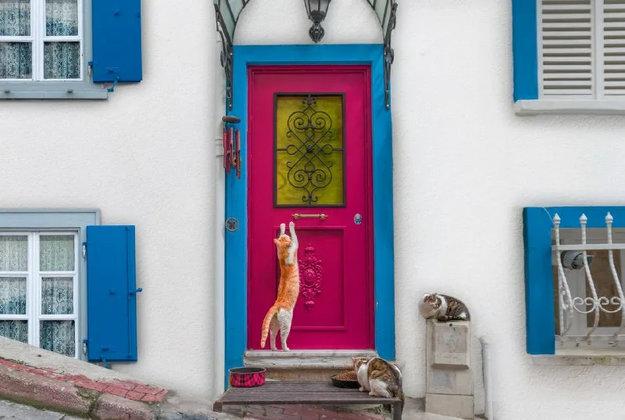 front door paint colors patterns