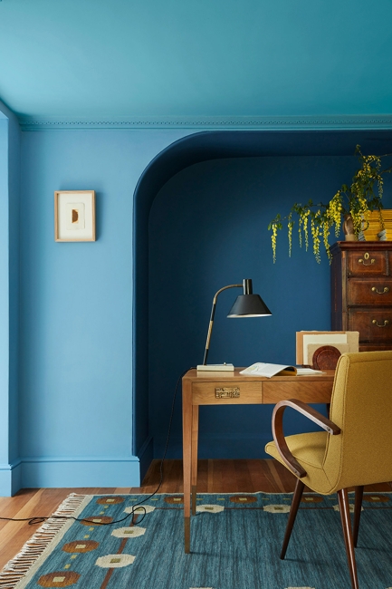 yellow blue color scheme