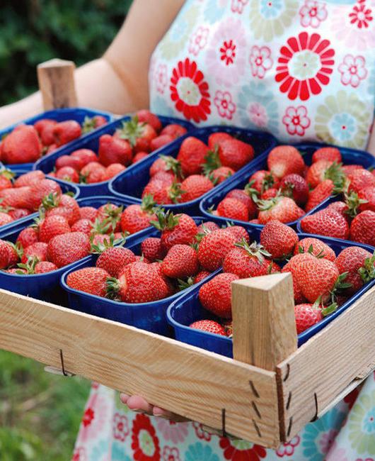 fresh strawberries wooden box