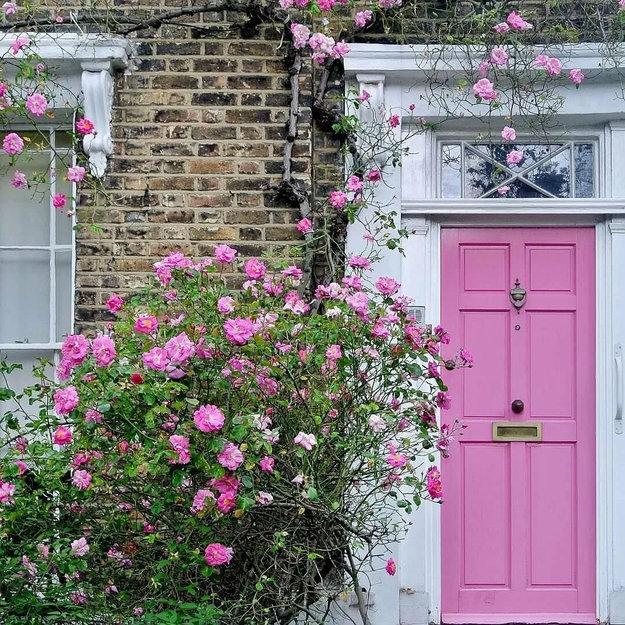 modern paint color trends exterior doors