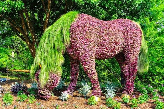 creative topiary themes unique yard decorations