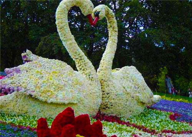 creative topiary themes unique yard decorations